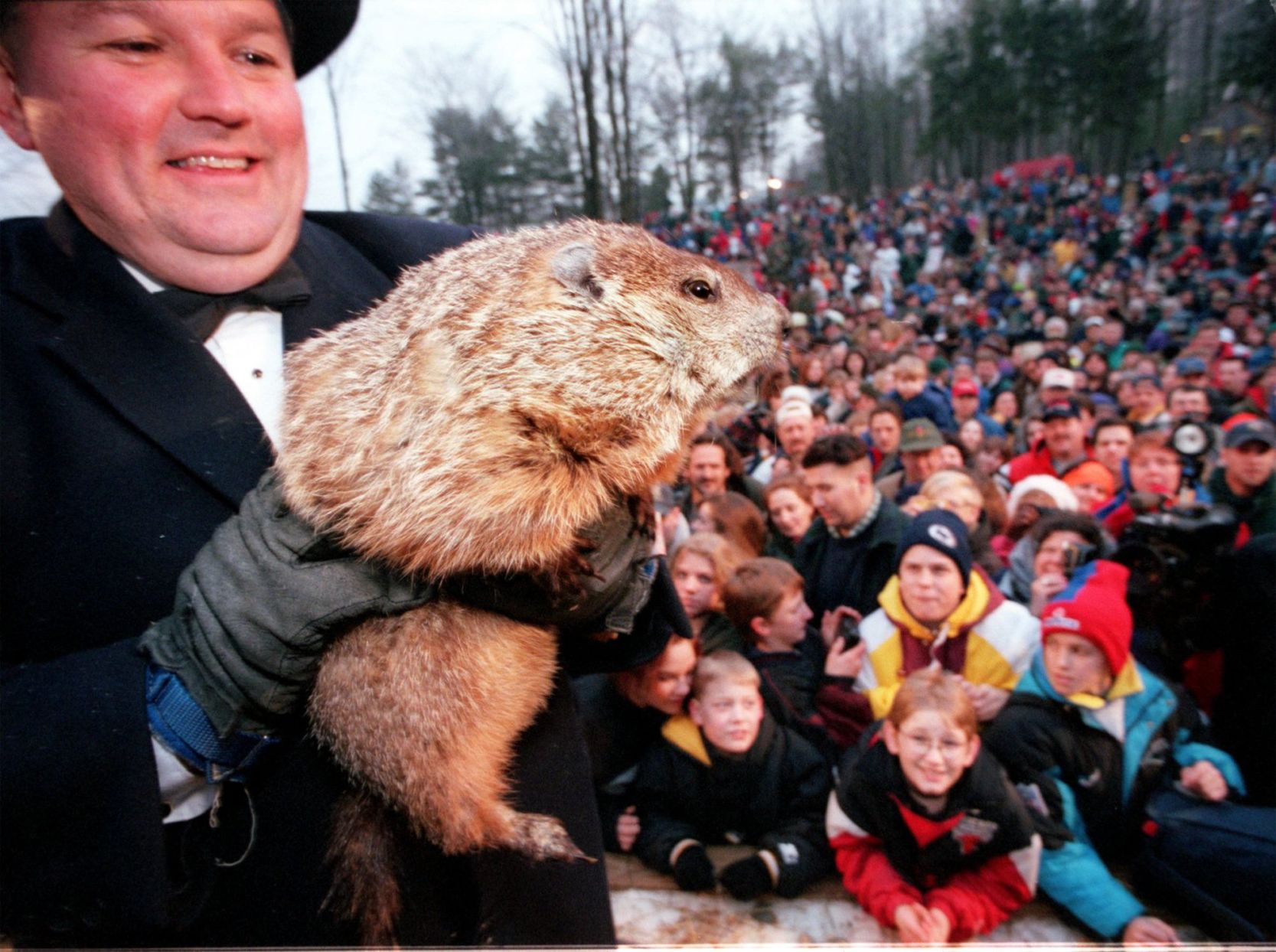 17 Facts About Punxsutawney Phil To Celebrate Groundhog Day