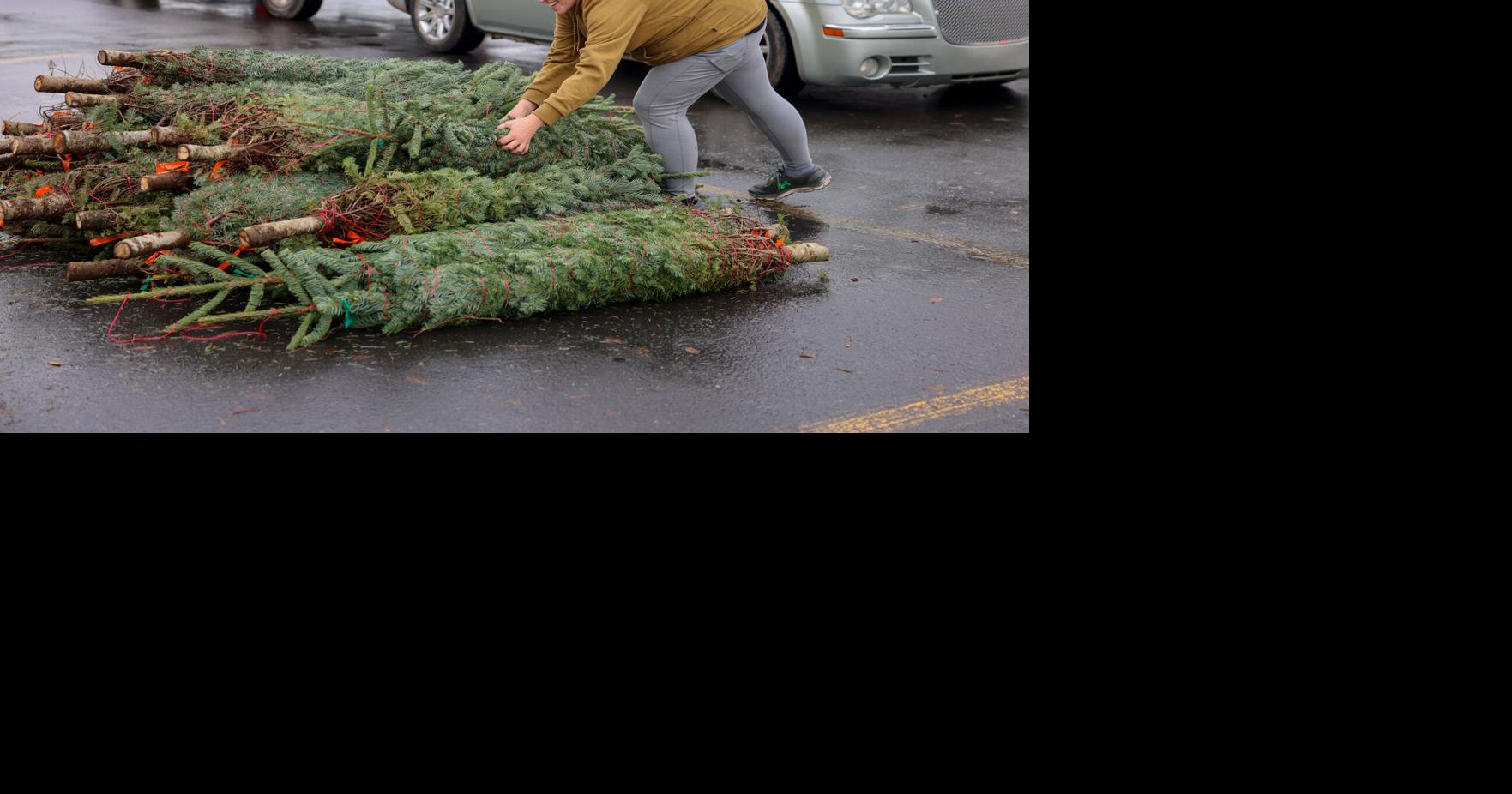 Free Christmas Tree Pickup