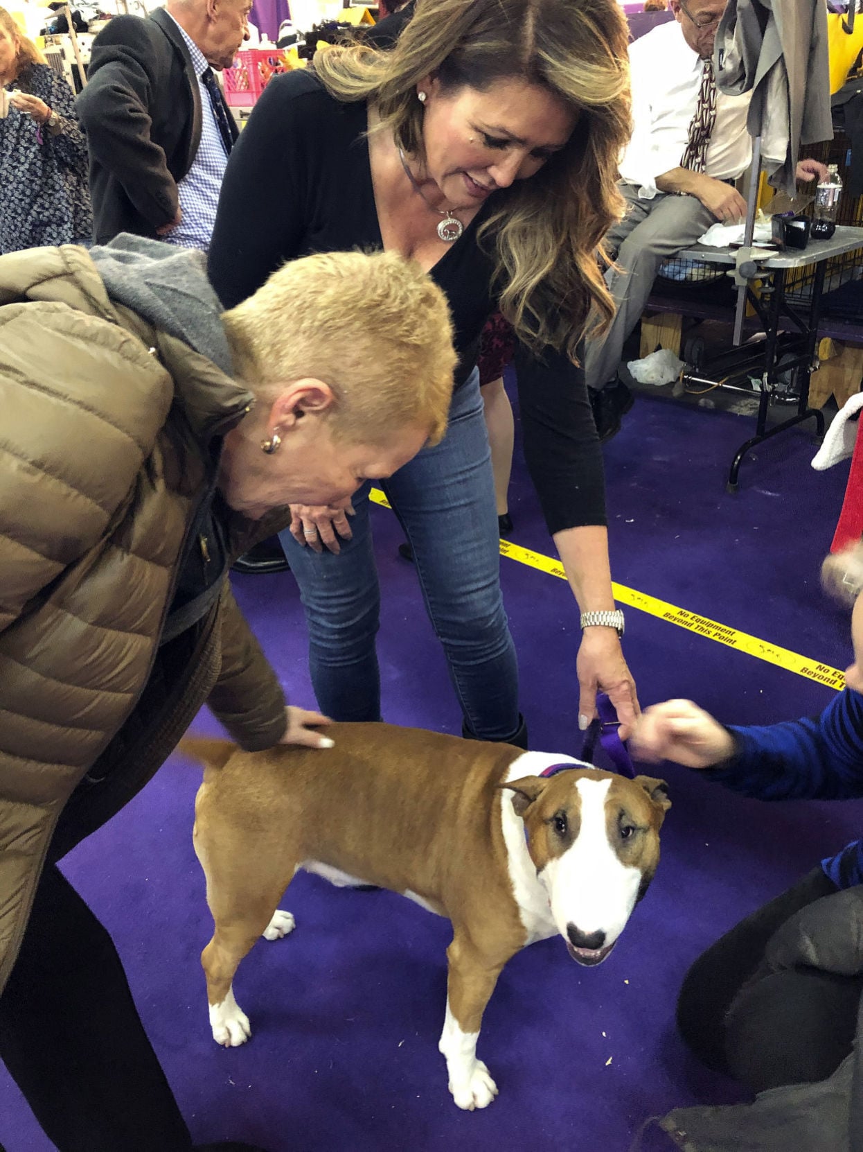 spuds mackenzie dog for sale