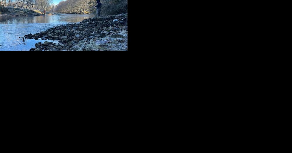 The Guide's Forecast: Clam tides outpacing area rivers for dinner plate prospects - Vimarsana News