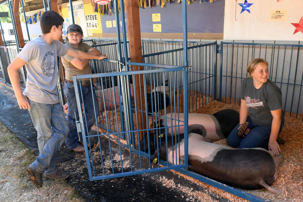 Castle Rock Fair off and running