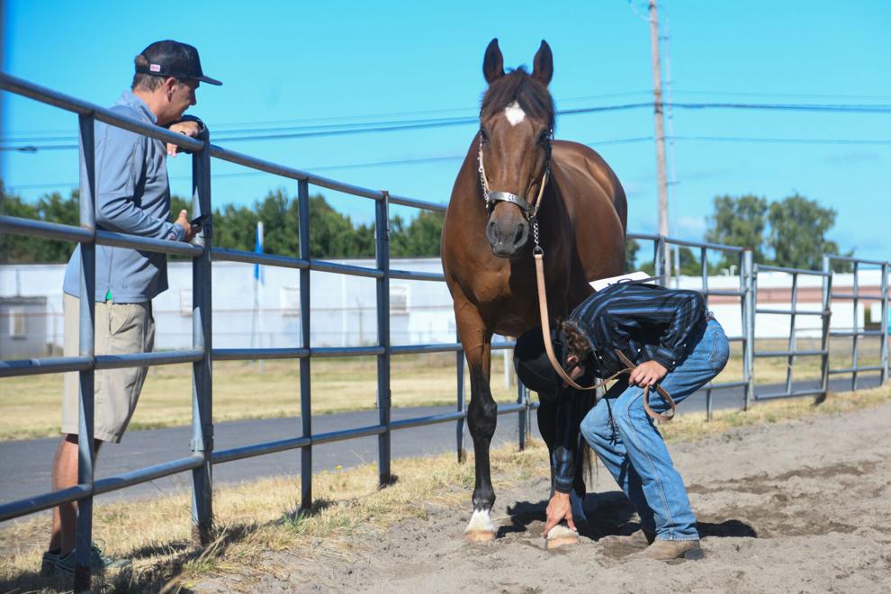 PHOTOS Cowlitz County Fair returns to Longview