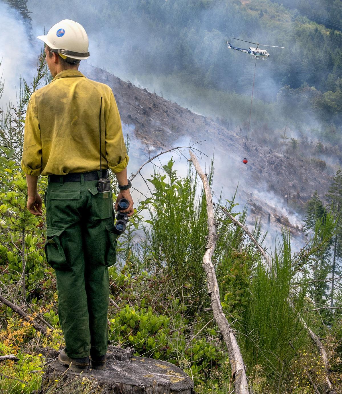 Fire near Woodland continues to grow Local