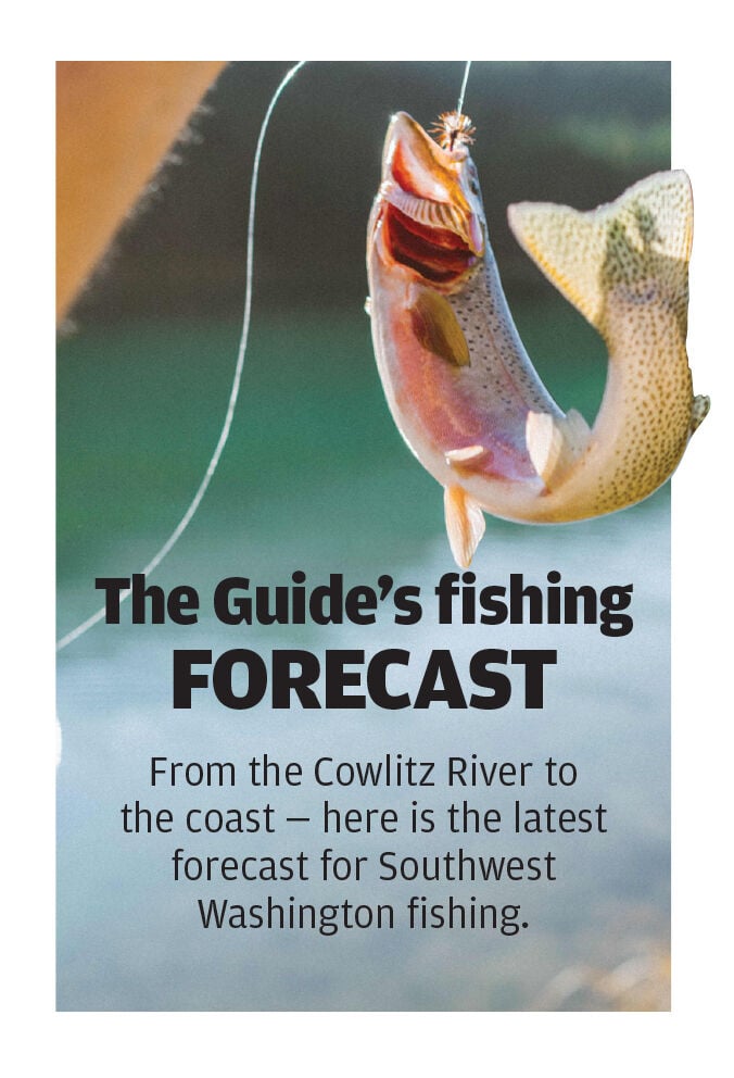 The Guide's fishing forecast  Steelhead hot on Cowlitz River