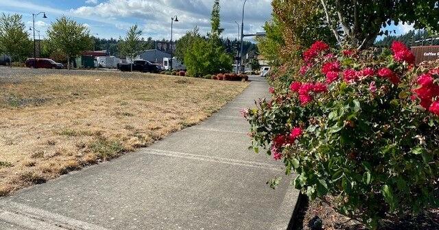Cowlitz County finalizes giving millions to Kelso affordable housing, Longview youth shelter - Vimarsana News
