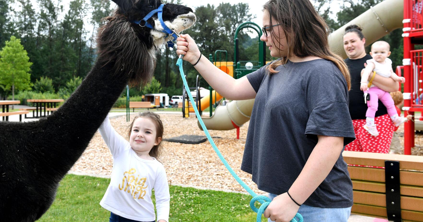 Kalama Fair kicks off Thursday with live music, 4-H demos, games and more - Vimarsana News
