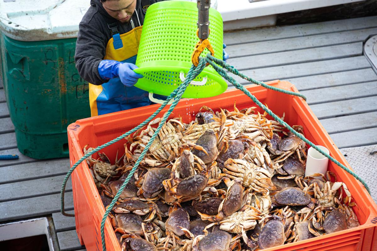 Coronavirus affecting crab exports