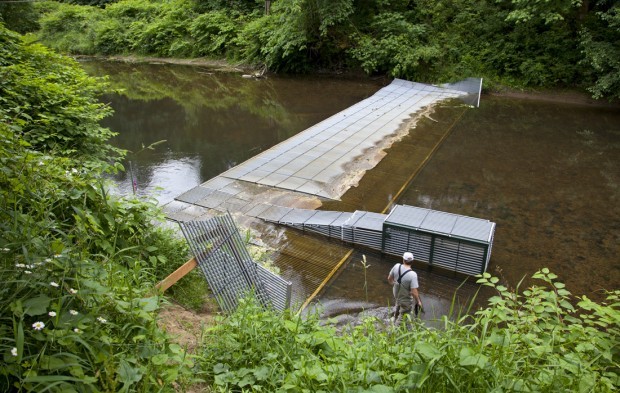 Weir science: New structures sort fish runs