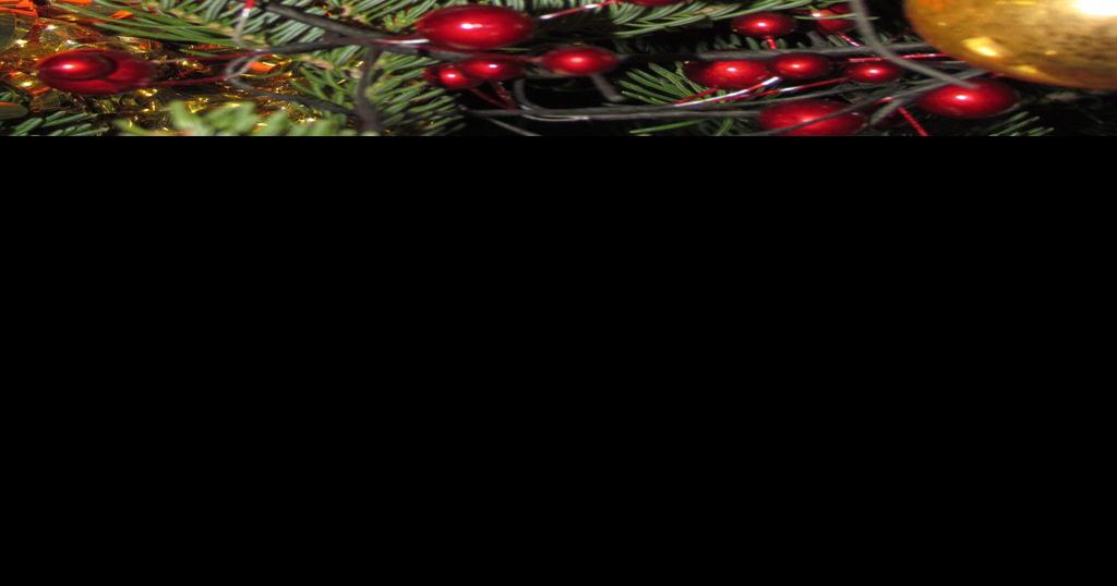 Gifford Pinchot National Forest 2020 Christmas tree cutting permits online