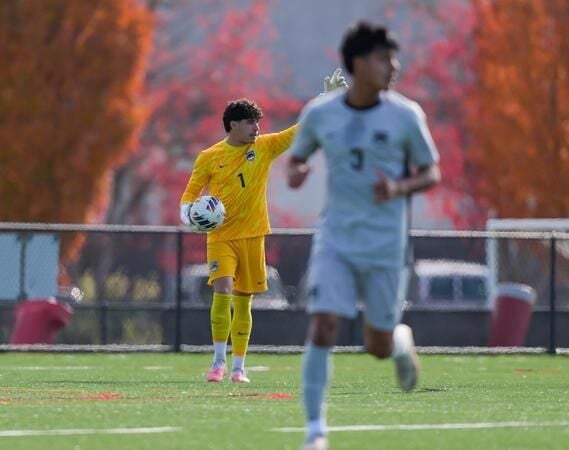 Wolves Win Showdown with Falcons