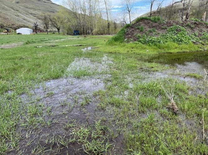 Asotin Creek Wildlife Area shooting range closed permanently due to flood damage