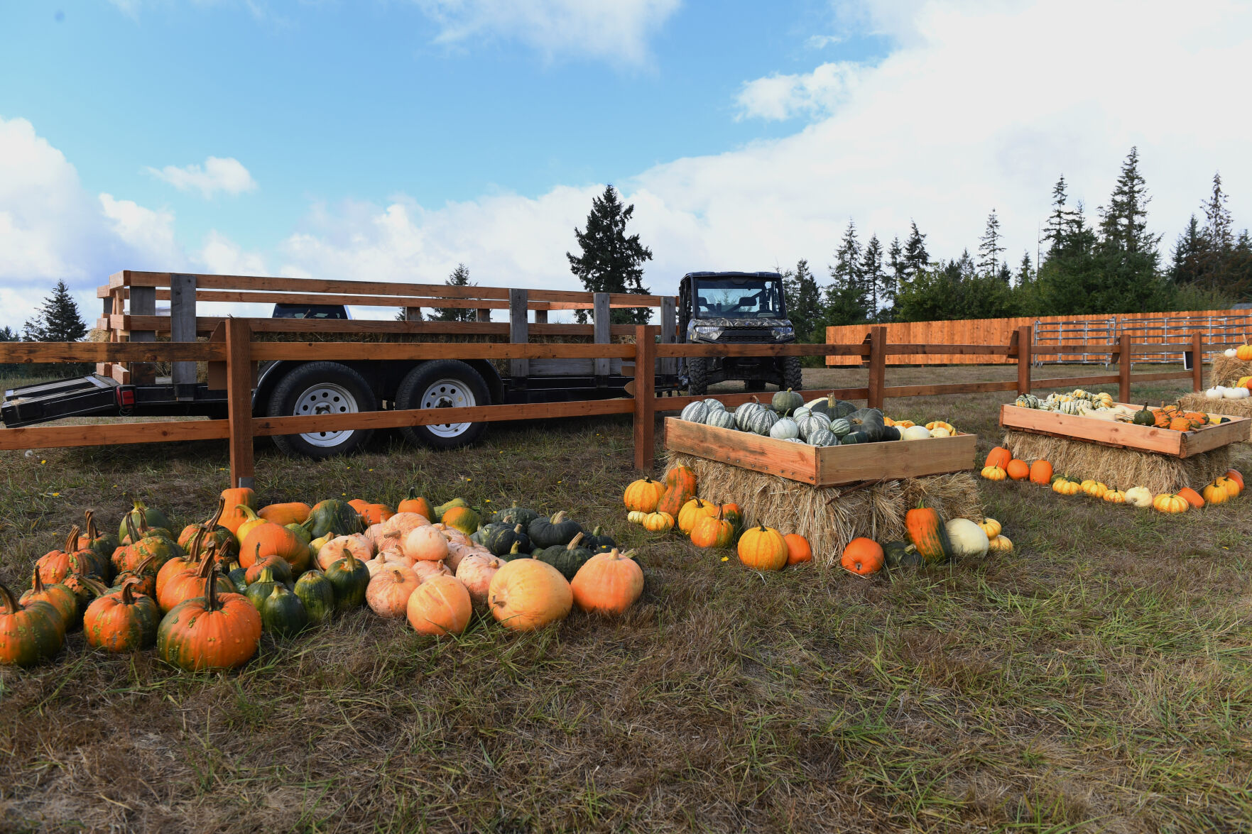 columbia station pumpkin patch