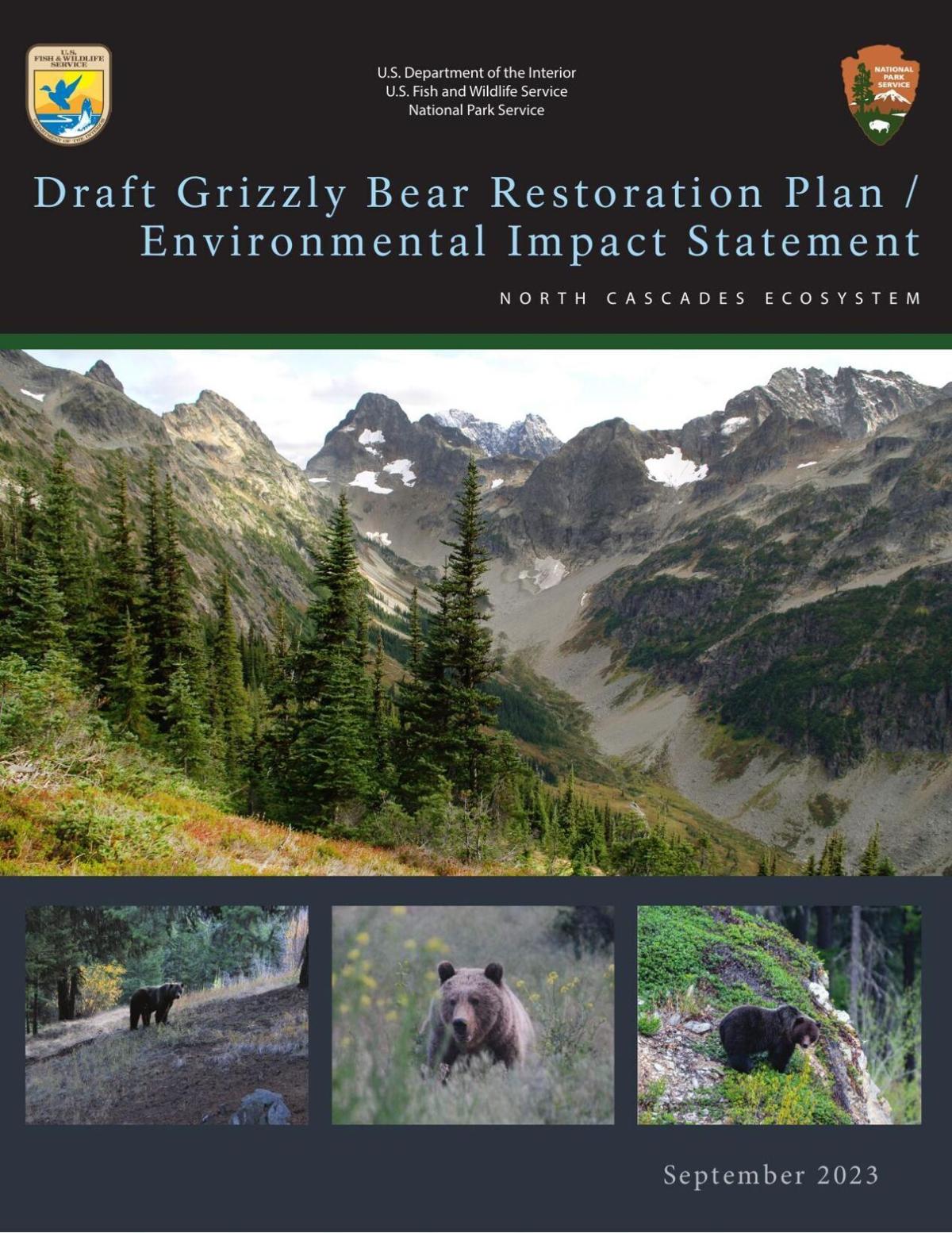 Support reintroducing grizzly bears to the North Cascades