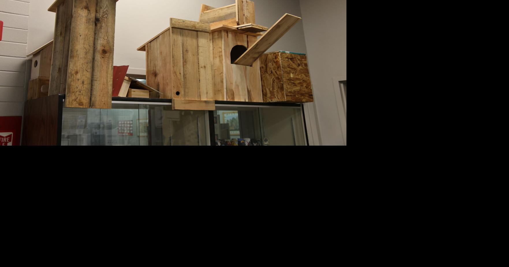 Kelso students turn recycled cedar into shelters for struggling wildlife