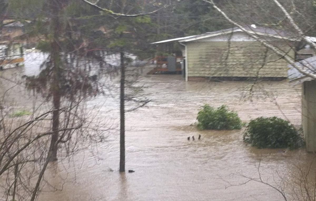 Rainswollen Western Washington river floods homes in Brinnon Washington