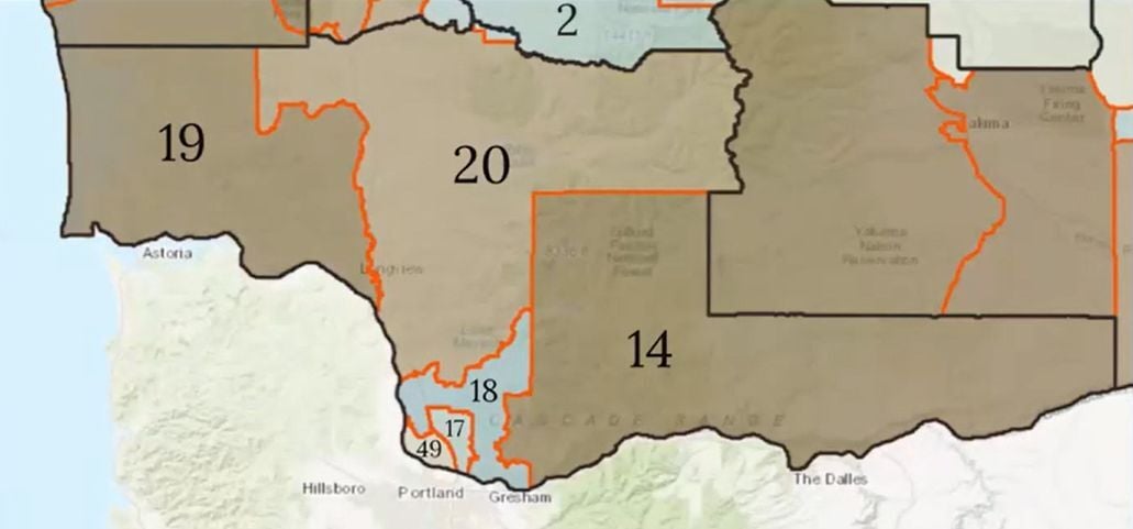 Local redistricting map