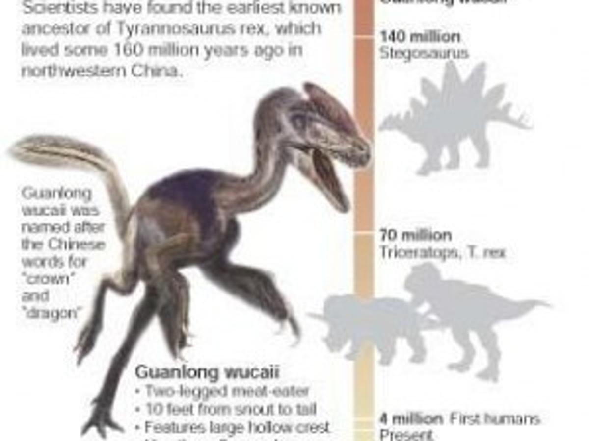 Paleontologists Find Ancestor Of T Rex News Tdn Com Paleontologists Find Ancestor Of T Rex News Tdn Com