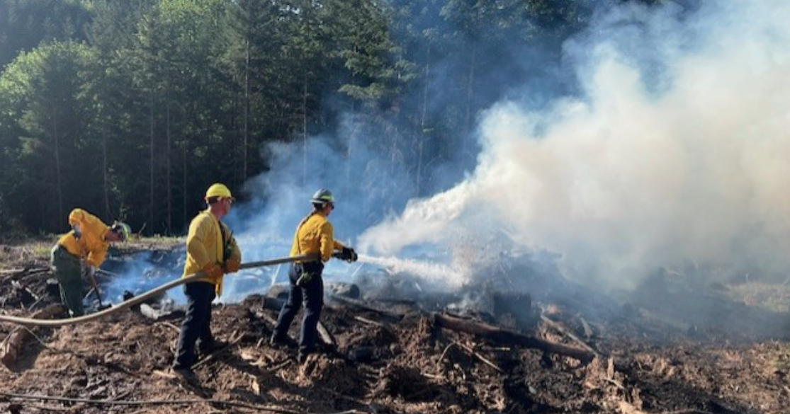 Yard debris burning turns into brush fire in Rose Valley