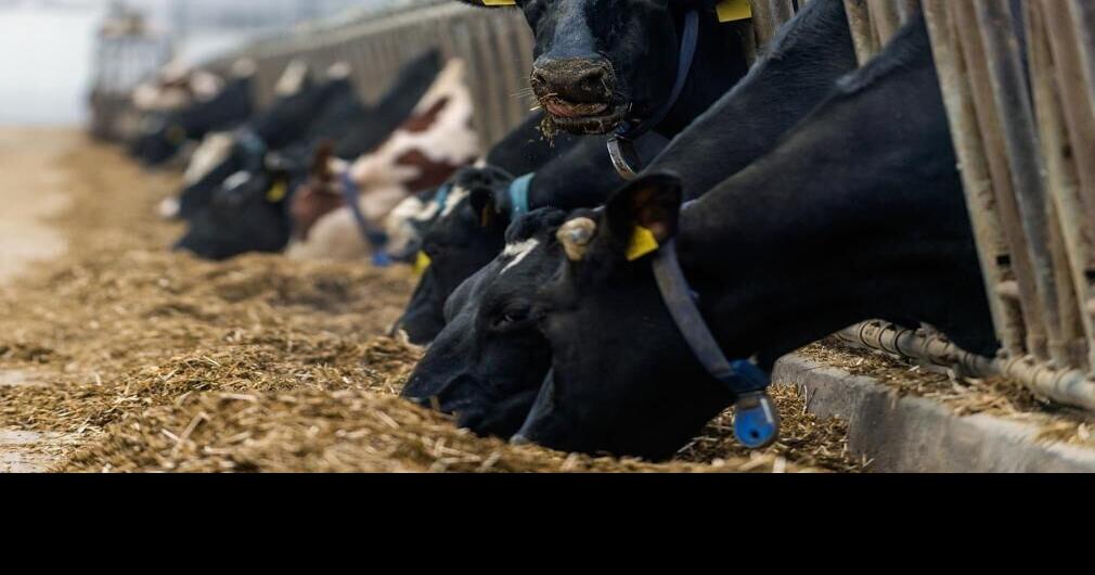 Castle Rock High School offers farm safety training as county ag jobs increase