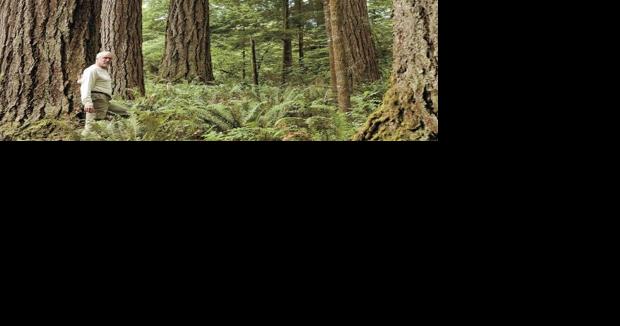 DNR buys 40-acre plot in Woodland - Vimarsana News