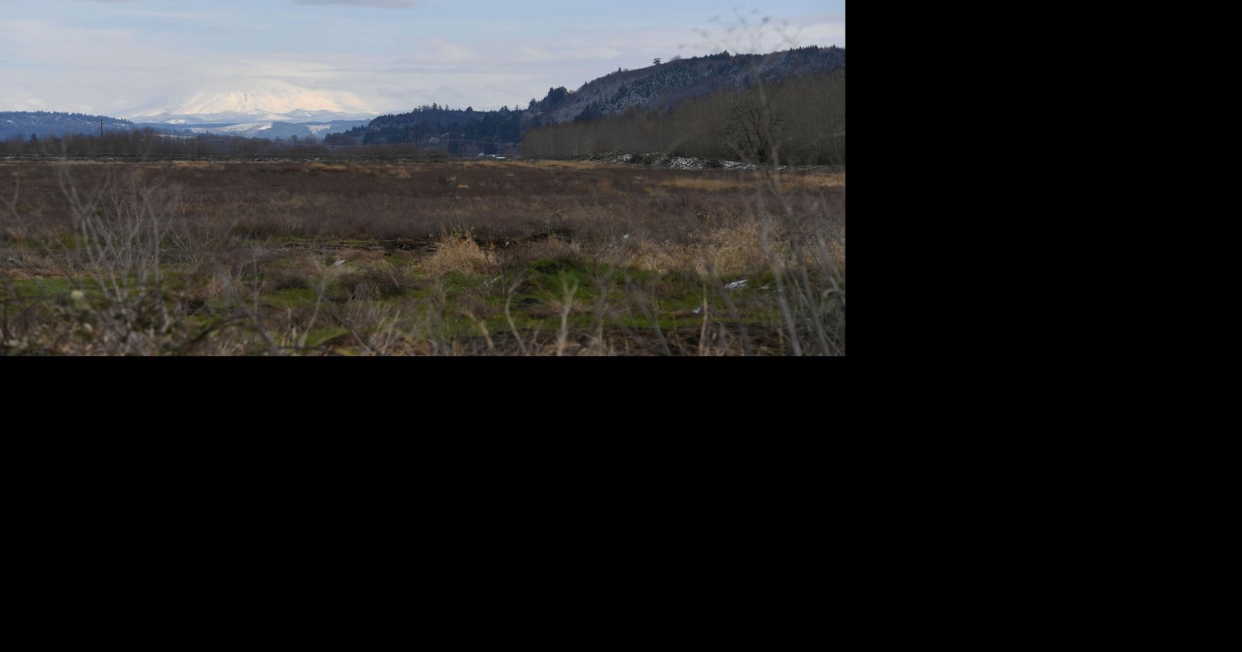 Our View How green is green enough for Clatskanie?