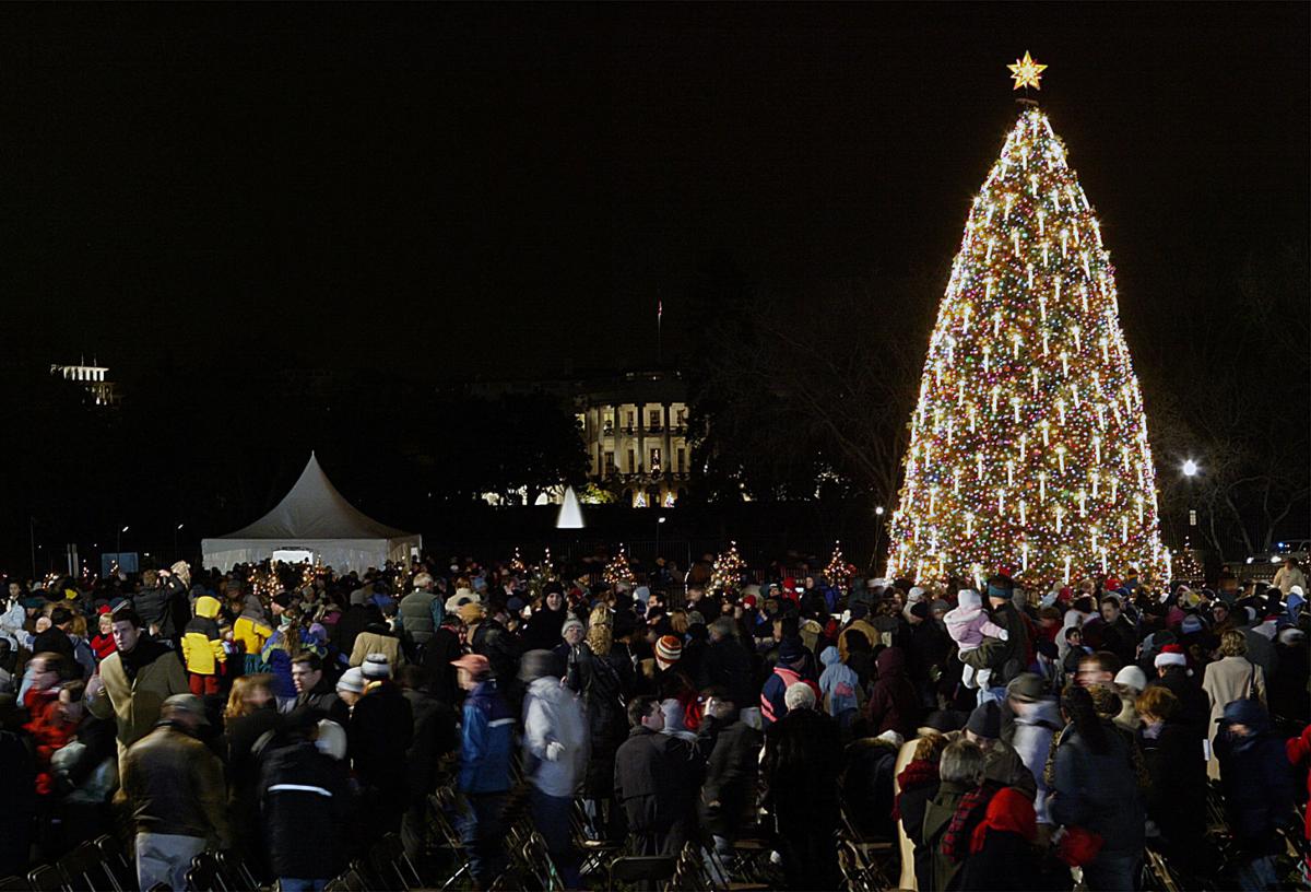 photos looking back at eight decades of national christmas trees lifestyles tdncom - White House Christmas Tree Lighting photos looking back at eight decades of national christmas trees lifestyles tdncom - White House Christmas Tree Lighting