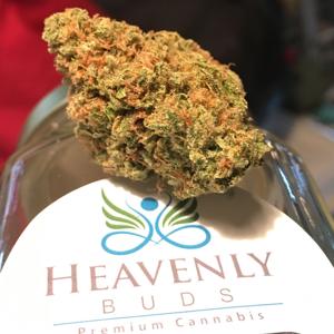 Heavenly Bud.jpg