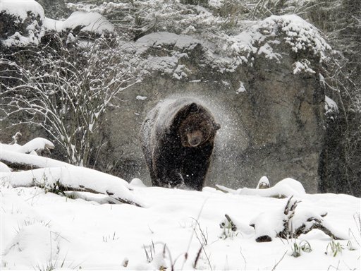 Washington Snow