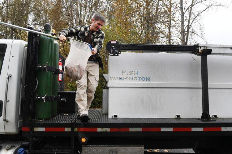 Kalama's Kress Lake stocked with rainbow trout Tuesday for post