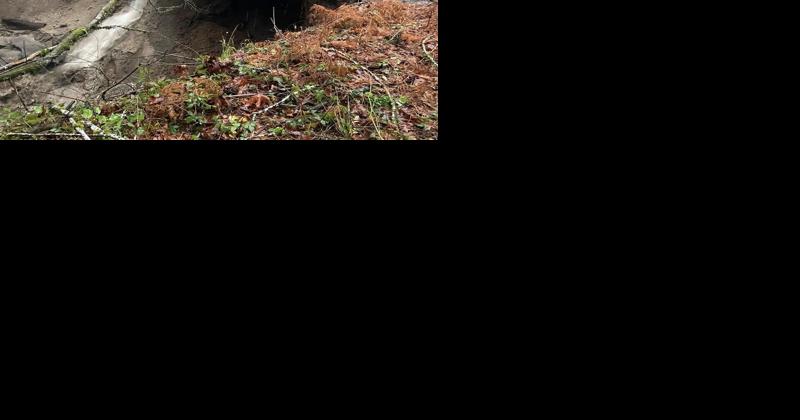 UPDATE: Cowlitz County roads reopen as flood warning lapses - Vimarsana News