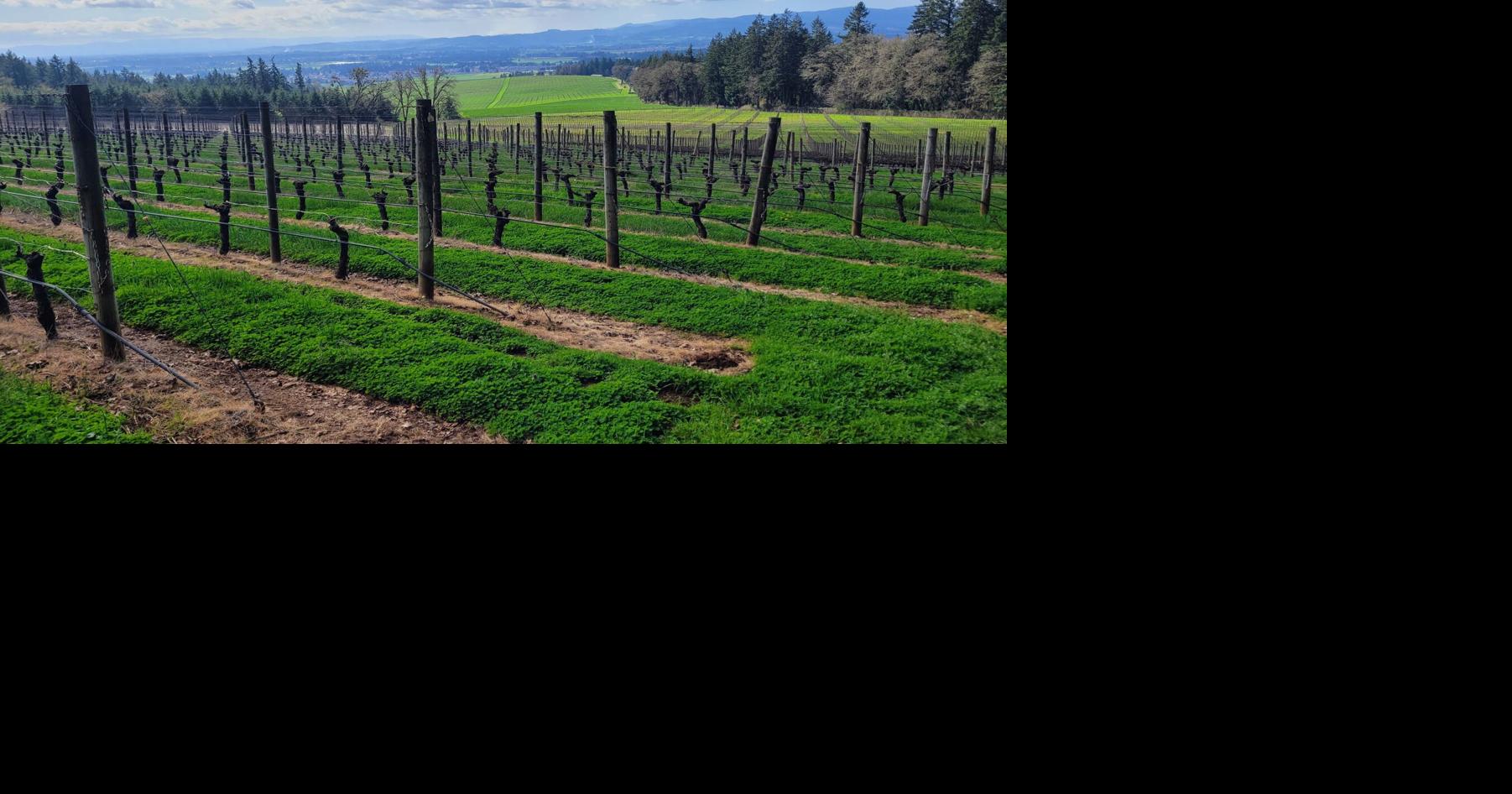 69c40618e9c54.image.jpg?crop=1802,946,0,