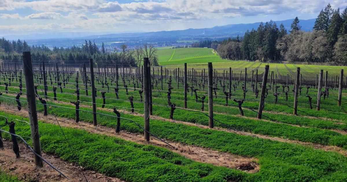 69c40618e9c54.image.jpg?crop=1802,946,0,