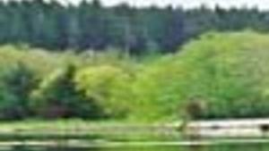Take A Ride On The New State Park Trail Banks To Vernonia Lifestyles Tdn Com