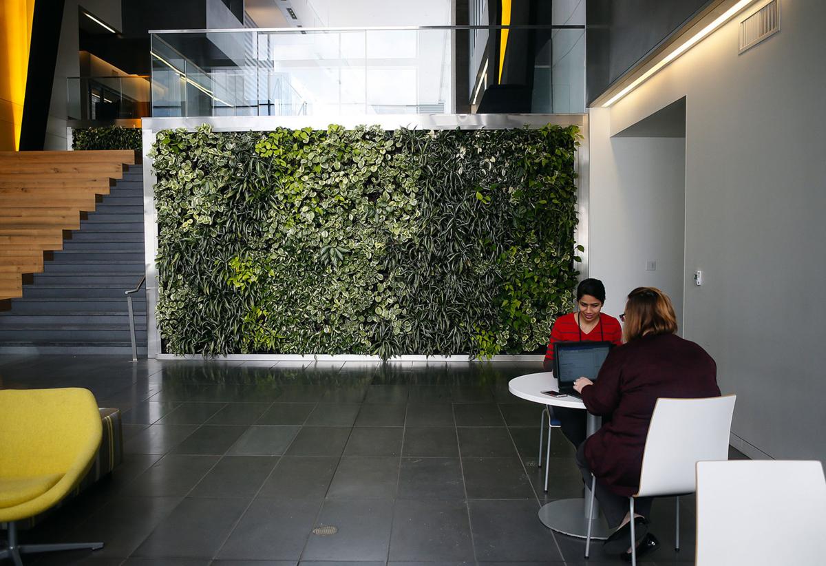 living walls bring interiors