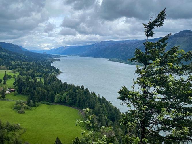 Low sockeye salmon returns lead to fishery changes in the Columbia River