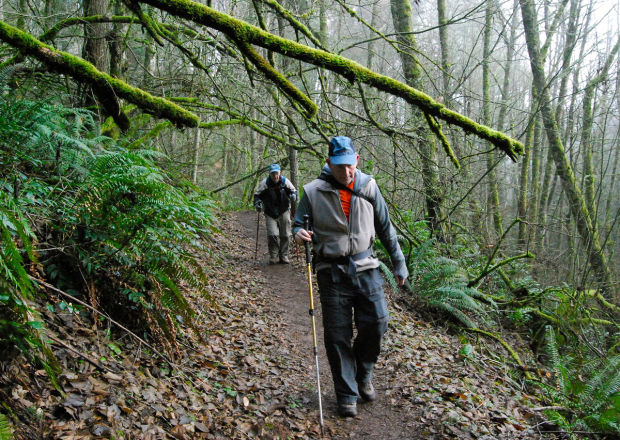 Get lost in Portland's Forest Park | Lifestyles | tdn.com