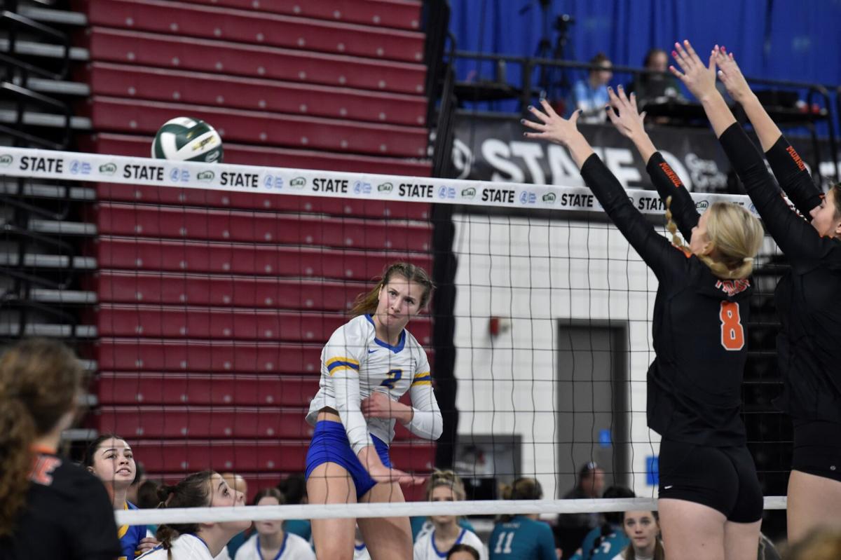 High School Volleyball: TDN's All-Area volleyball team