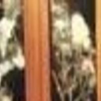 One In A Million News Tdn Com Software update update your hue system with the philips hue app to be able to enjoy the latest features it is important to keep your system up to date.