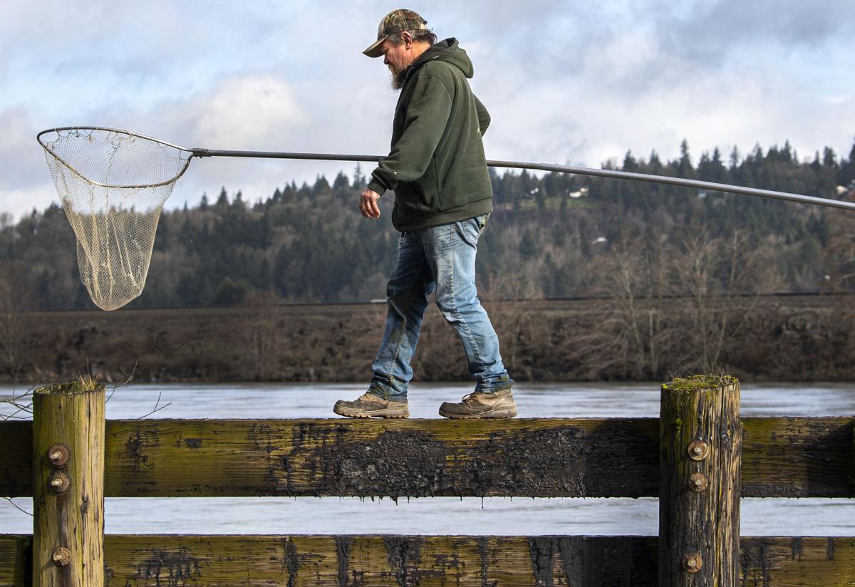 Dip Net Fishing on the Columbia River Editorial Image - Image of