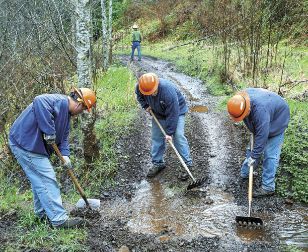 Nicolai Mountain a haven for off-road enthusiasts | Lifestyles | tdn.com