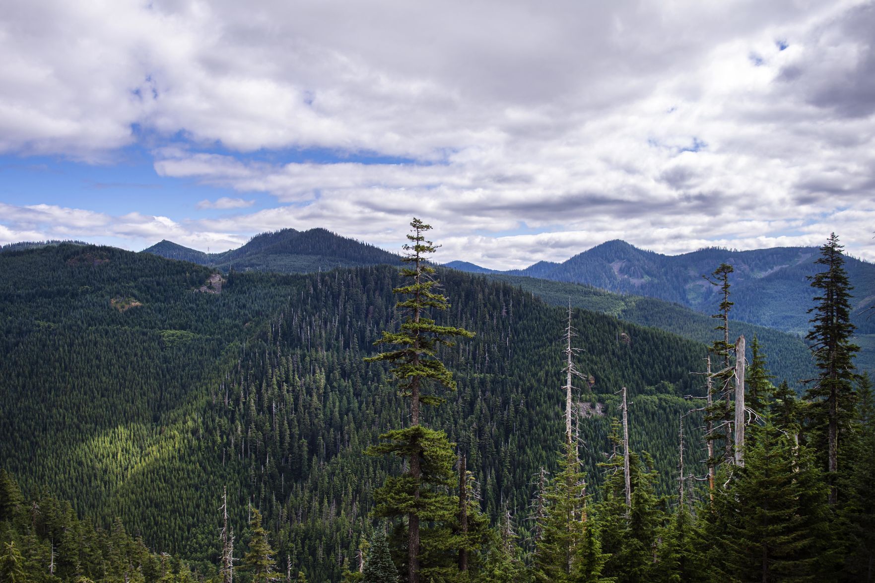 New Fees Proposed At Gifford Pinchot National Forest