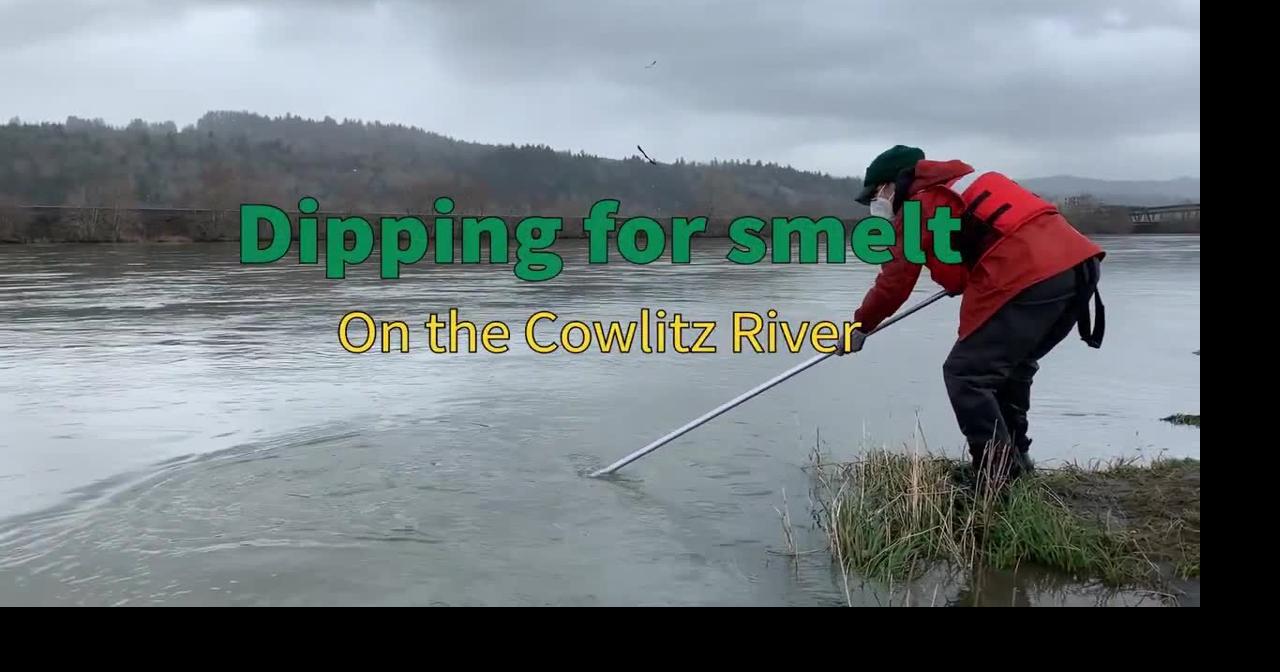 WATCH How to dip for Cowlitz River Smelt