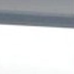 Longtime Sheriff S K 9 Dog Nitro Euthanized Local Tdn Com