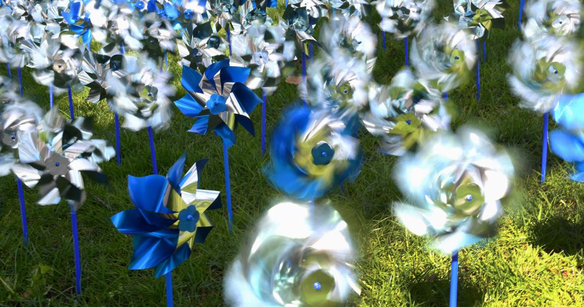 Pinwheel Coverage Map Plant pinwheels in Longview to bring awareness to child abuse prevention