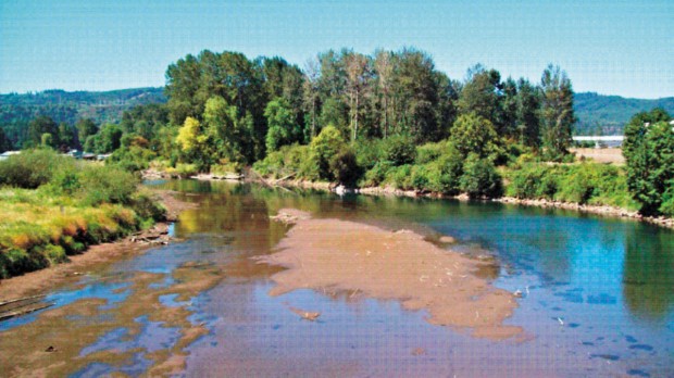 State, federal money to boost regional fish habitat projects | Lifestyles | tdn.com