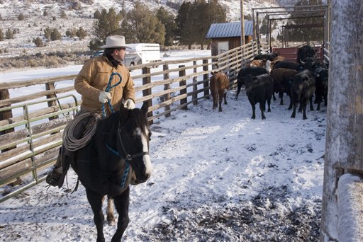 Rustlers ride wideopen range of Great Basin