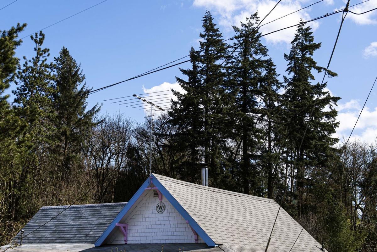 TV antenna