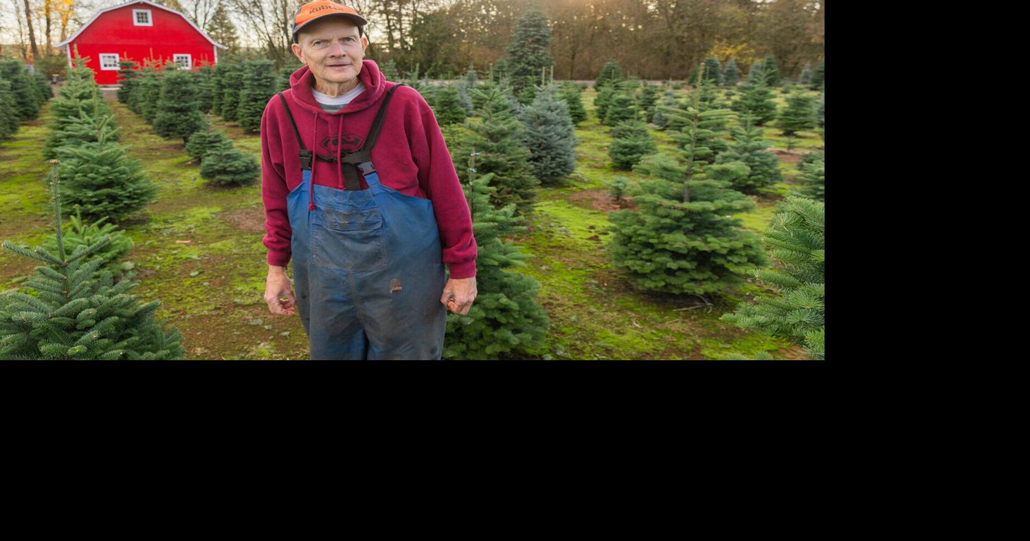 Longtime Rochester Christmas tree farmer prepares for holiday season