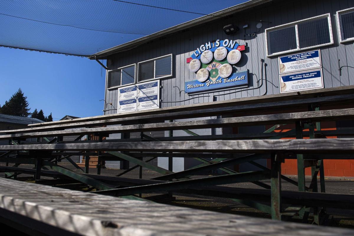 Say It Ain T So Youth Diamond Sports Delayed Due To Coronavirus
