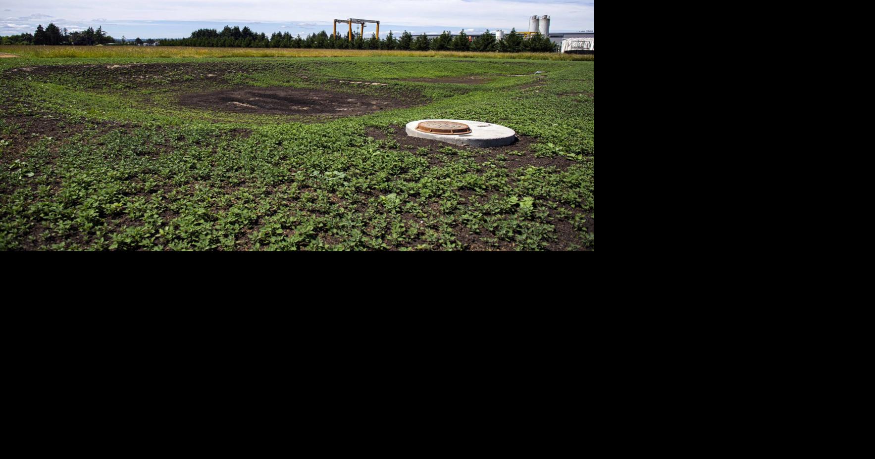 Port of Woodland passes 2022 budget focused on capital projects